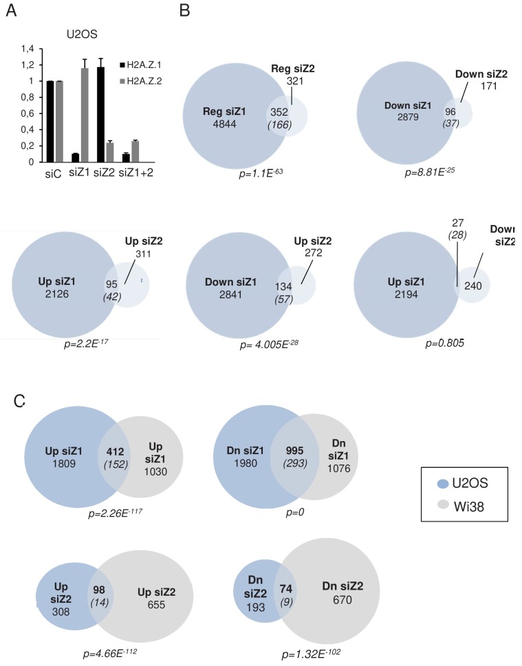 Figure 2—figure supplement 3.