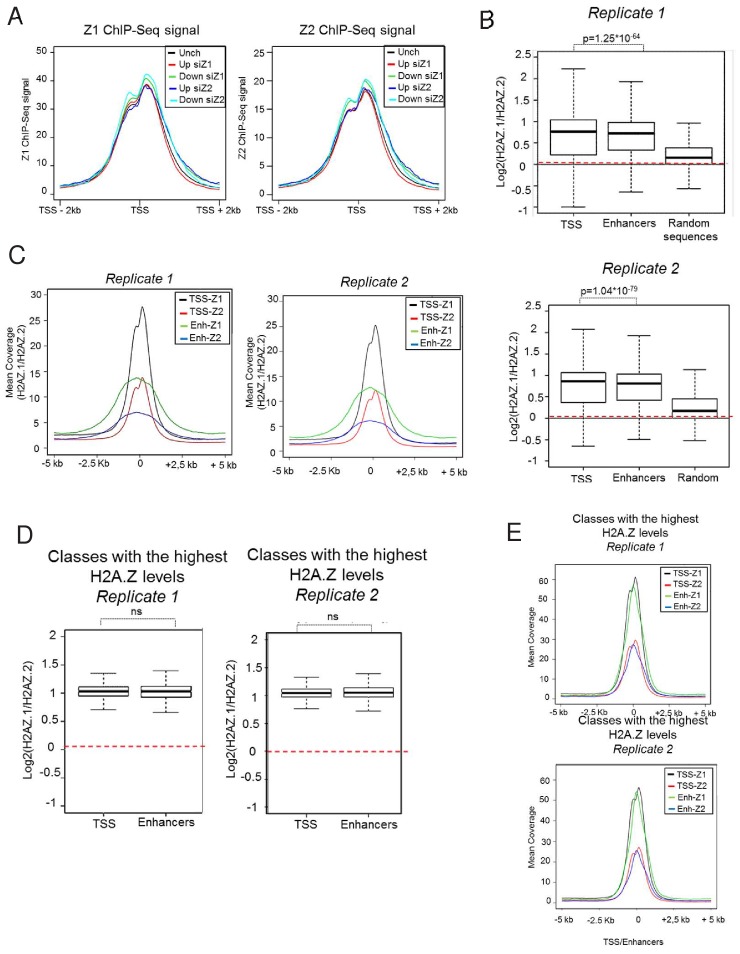 Figure 2—figure supplement 5.