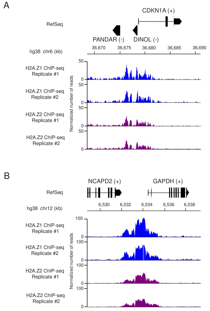 Figure 2—figure supplement 4.