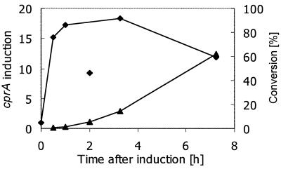 FIG. 7