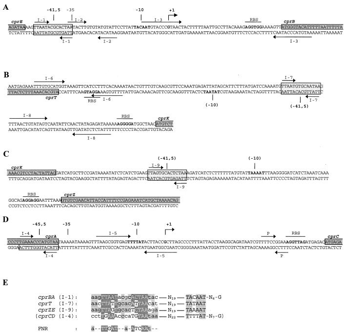 FIG. 6