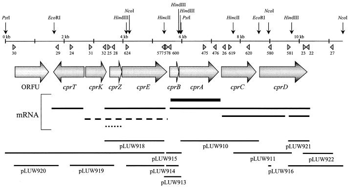 FIG. 1