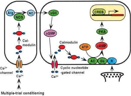 Figure 7.