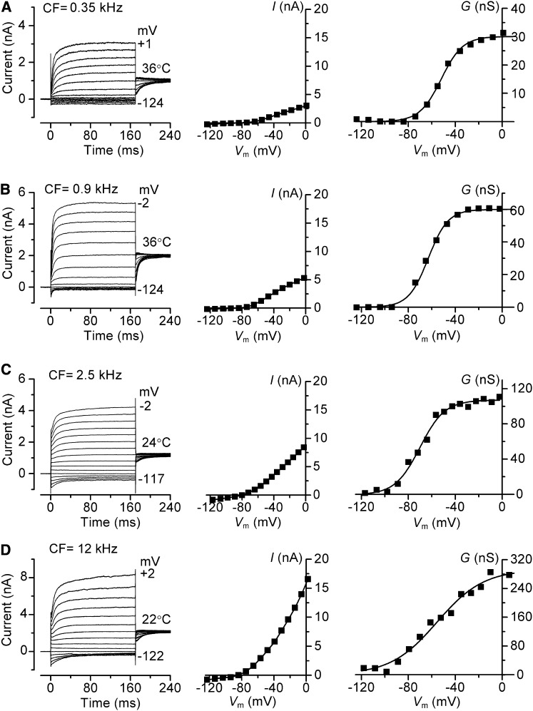 Figure 5