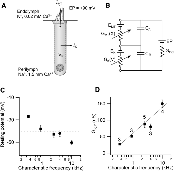 Figure 6