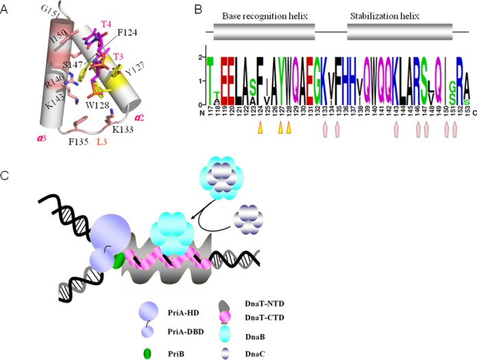 Figure 6.