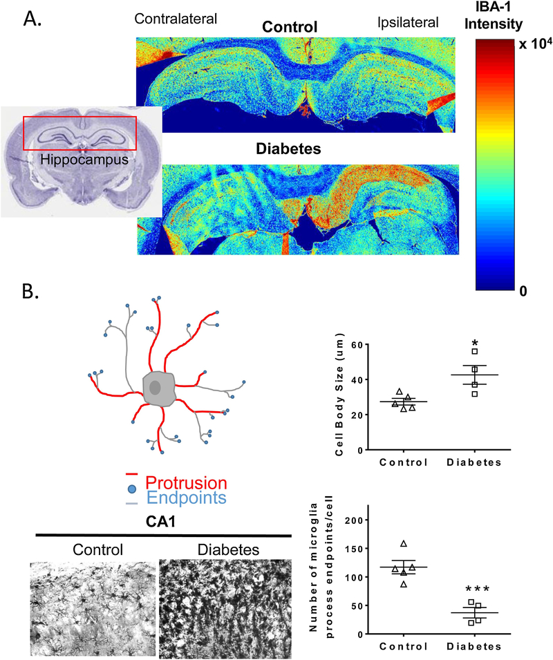 Figure 3.