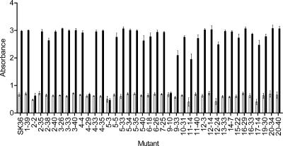 FIG. 2.