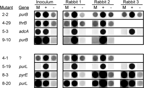 FIG. 4.