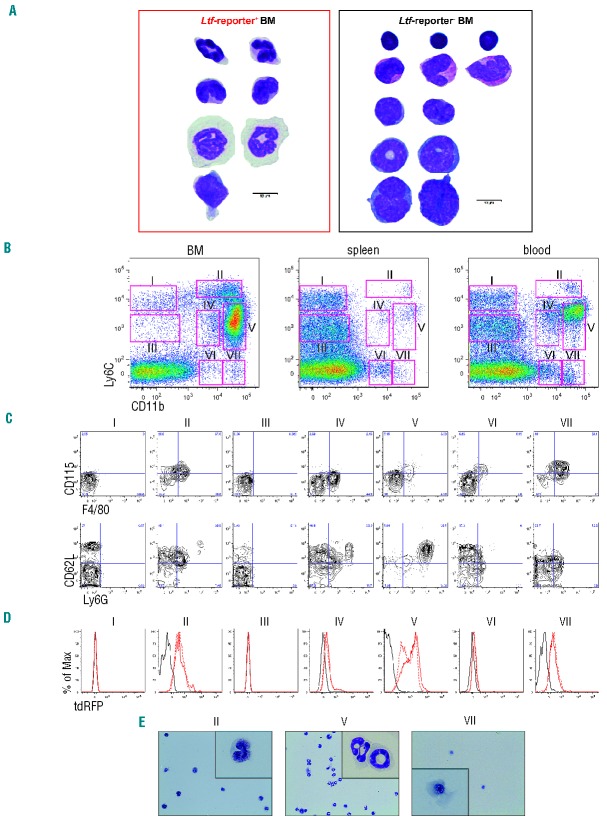 Figure 5.