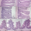 FIG 3