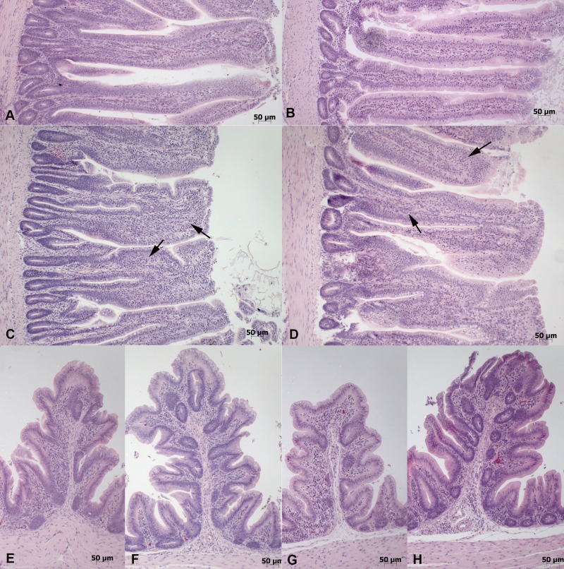 FIG 3 