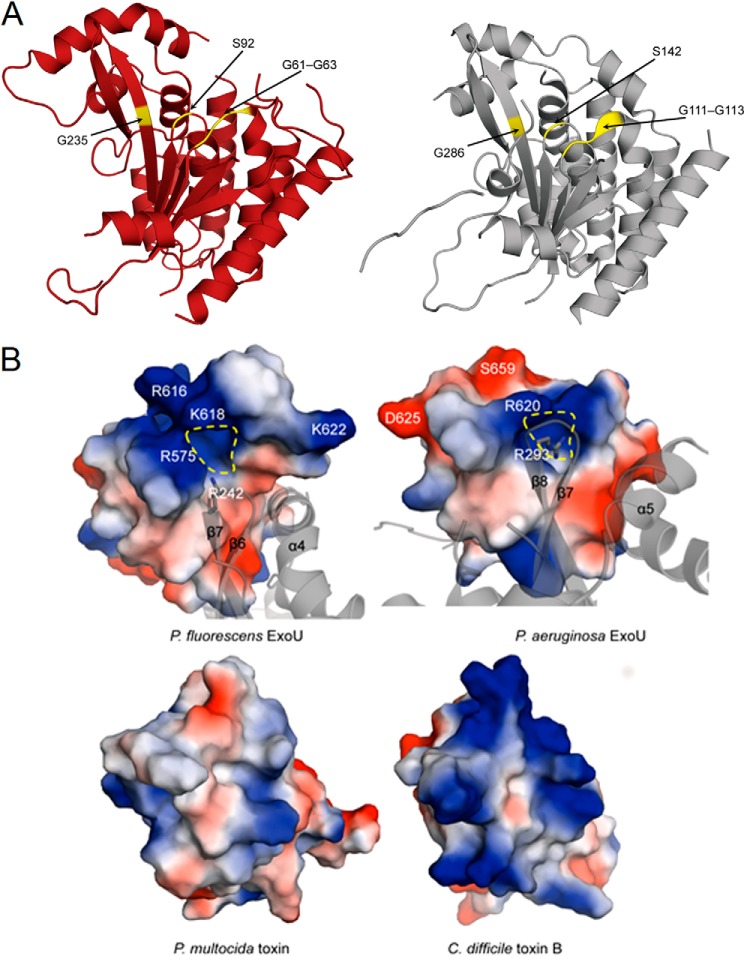 FIGURE 10.