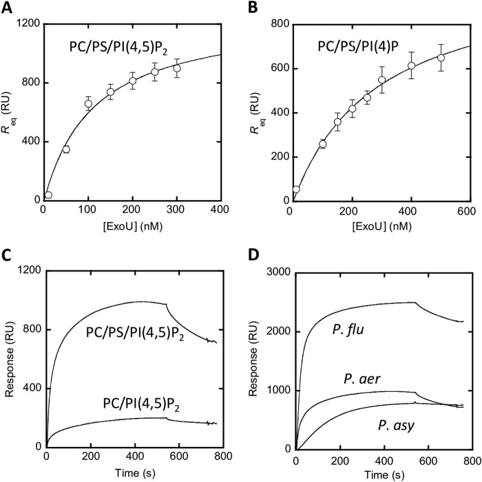 FIGURE 2.