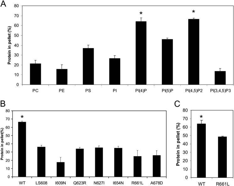 FIGURE 1.