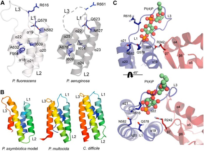 FIGURE 11.