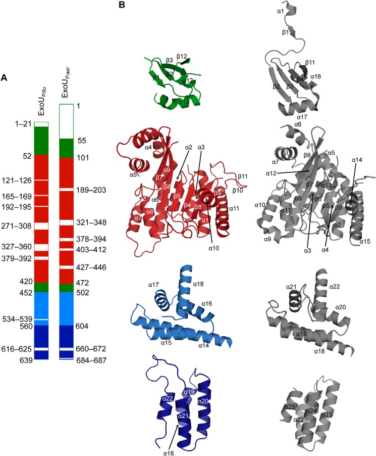 FIGURE 9.