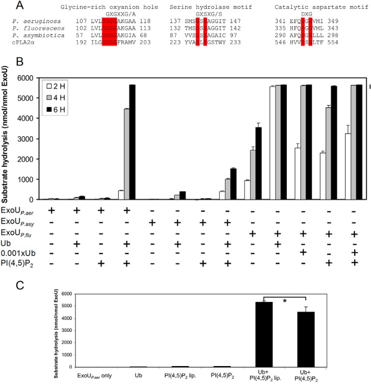 FIGURE 6.