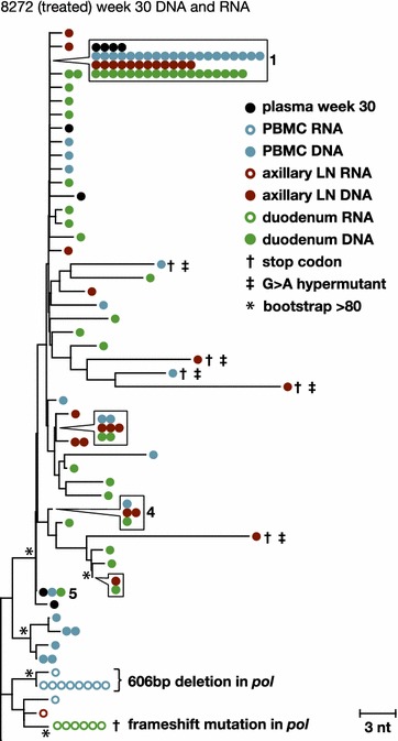 Fig. 8