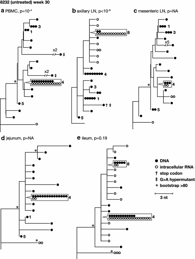 Fig. 6