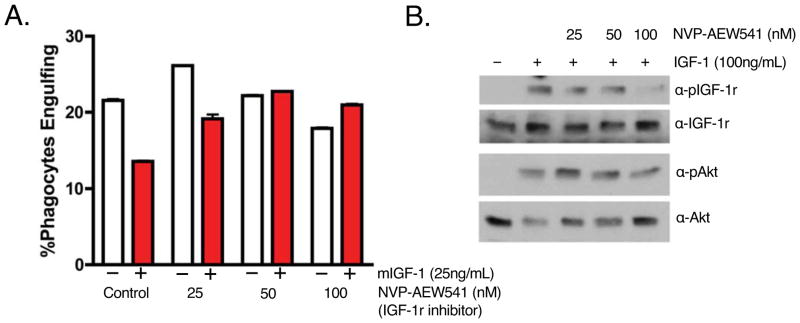 Extended Data Figure 3