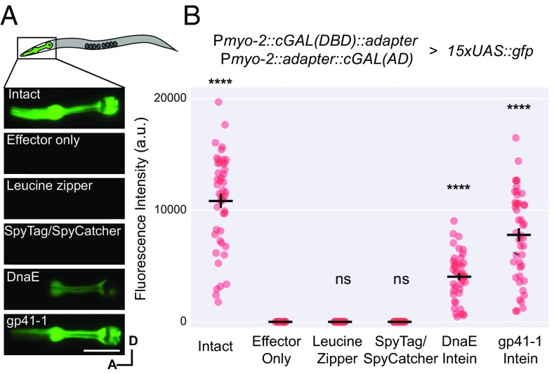 Fig. 2.