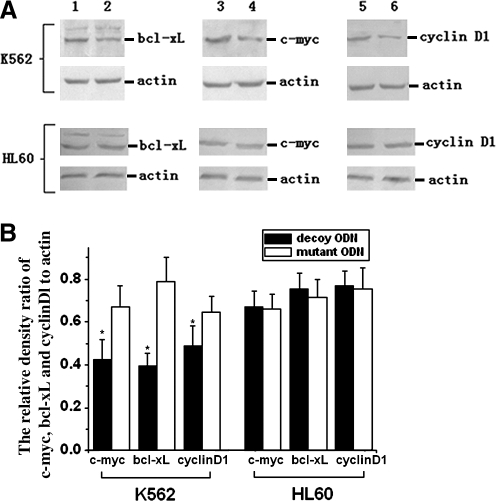 FIG. 8.