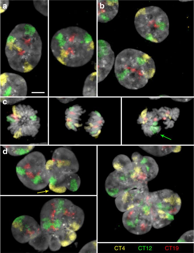 Fig. 2