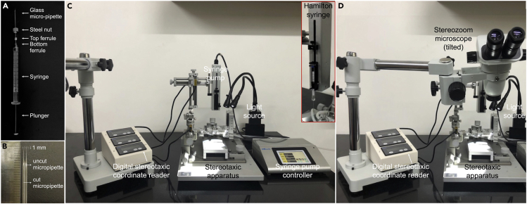 Figure 3