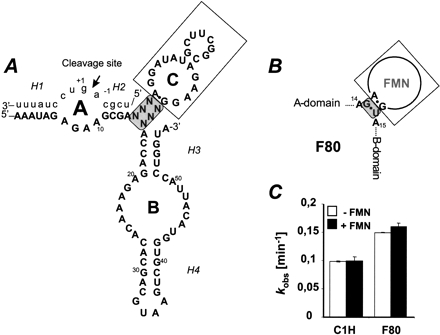 FIGURE 1.