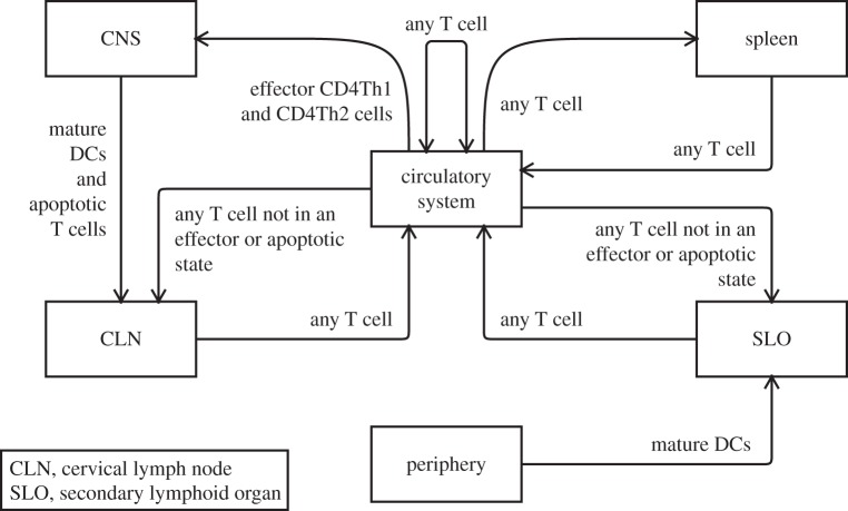 Figure 4.