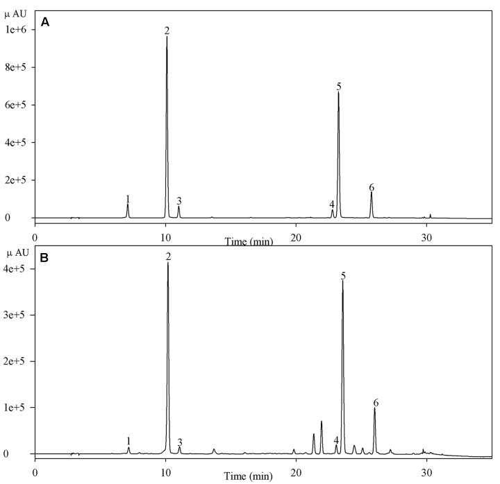 FIGURE 1