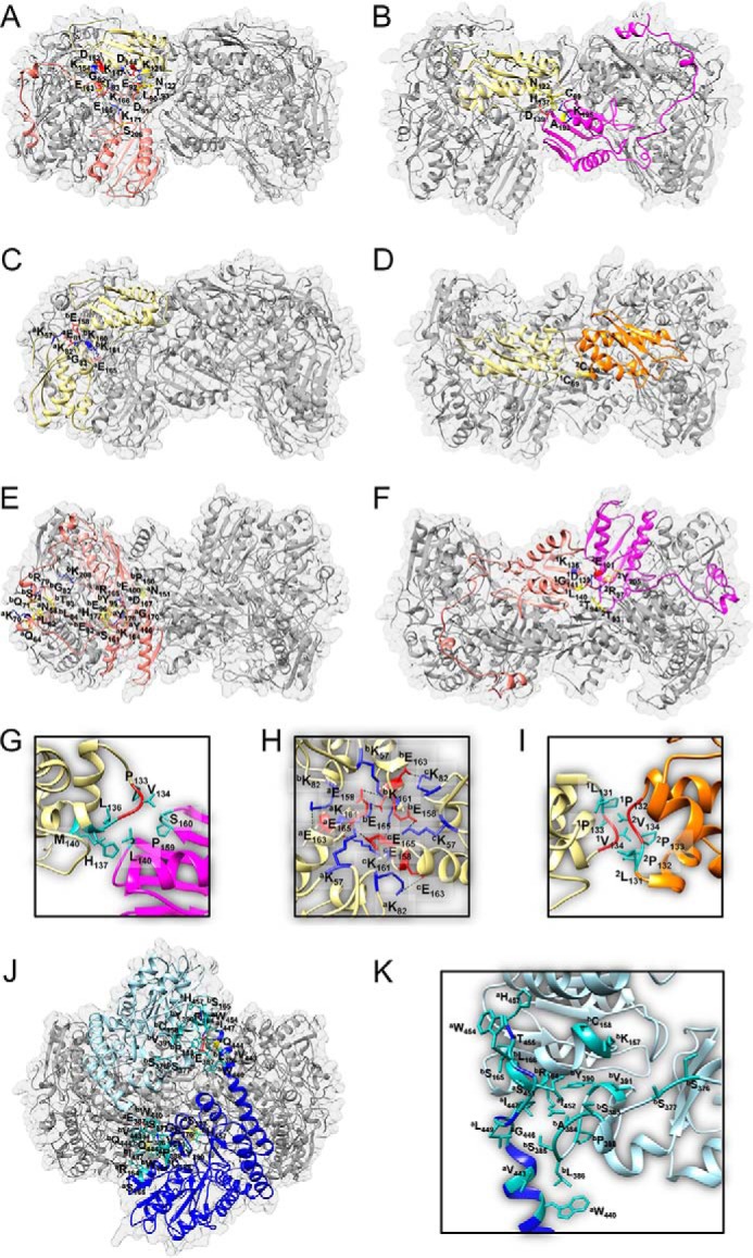 FIGURE 11.