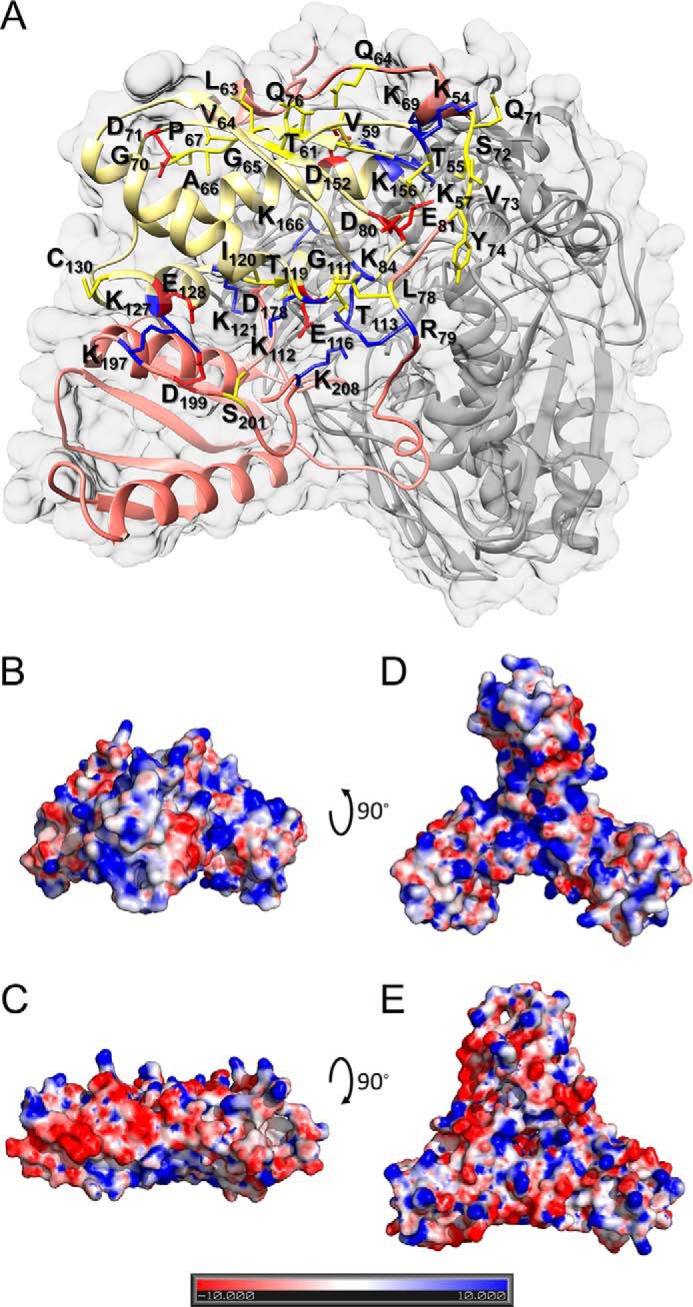 FIGURE 10.