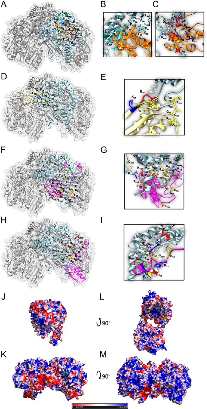 FIGURE 12.