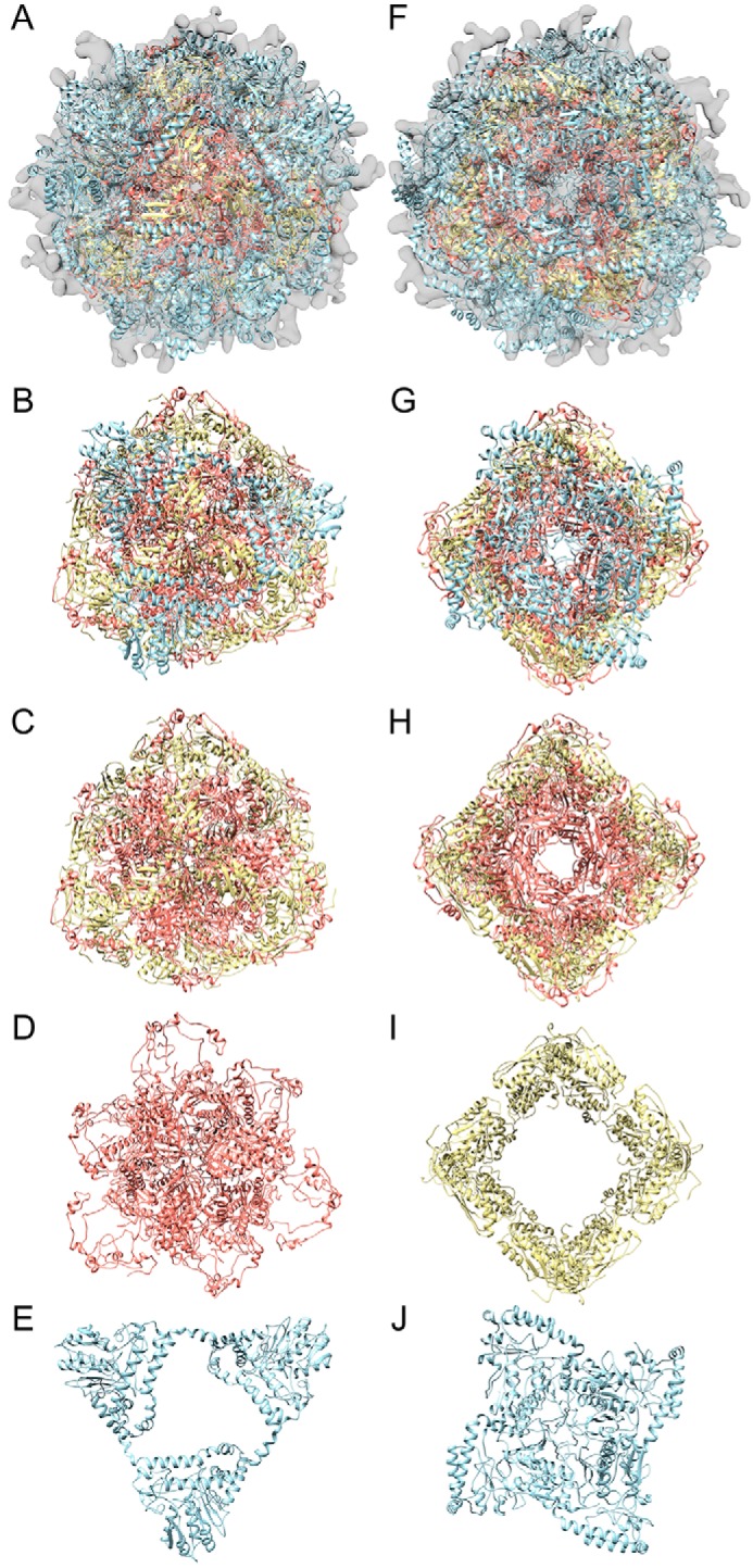 FIGURE 4.