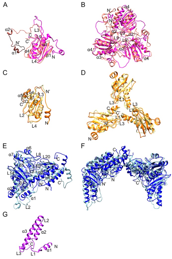 FIGURE 3.