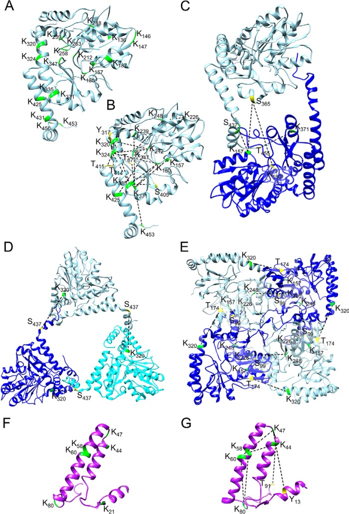 FIGURE 7.