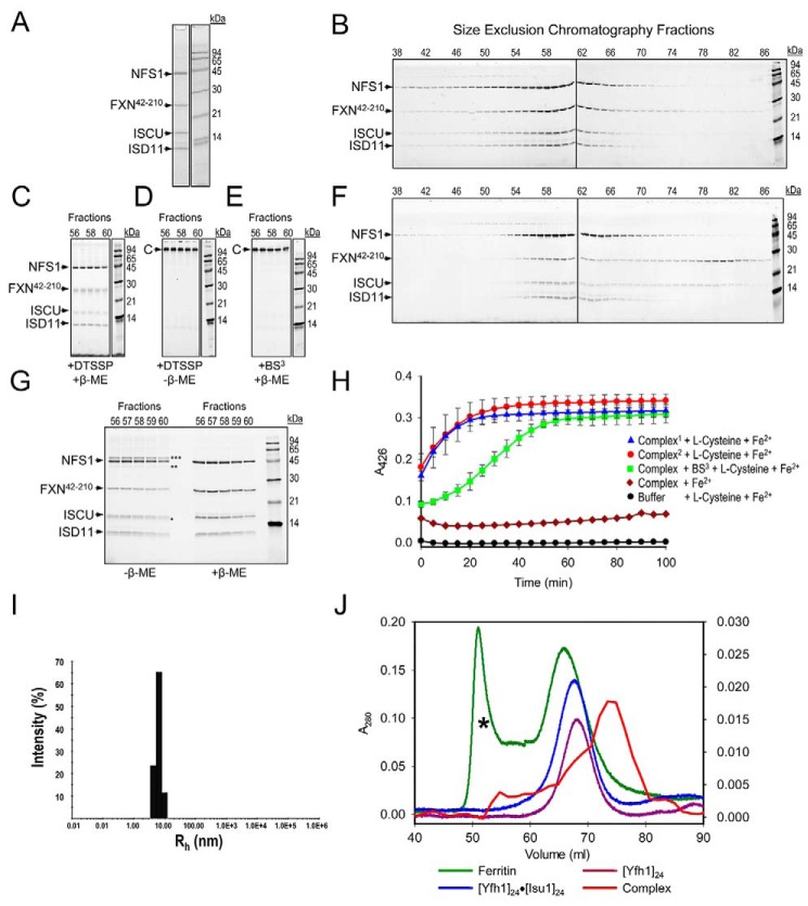 FIGURE 1.