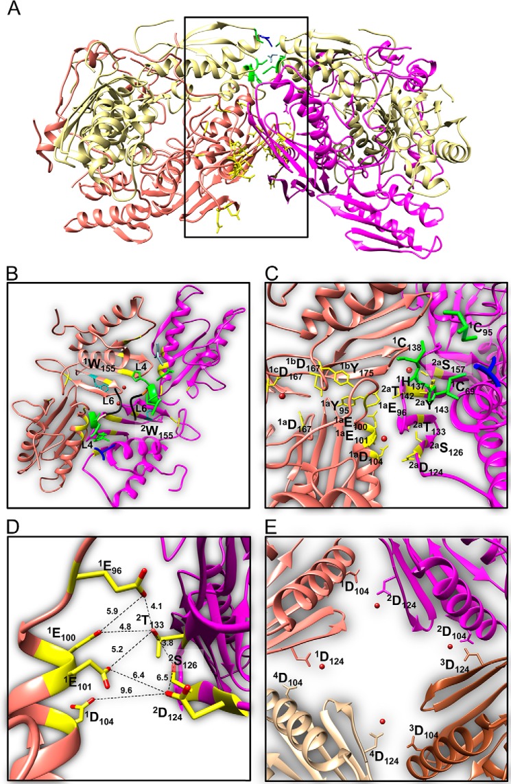 FIGURE 13.