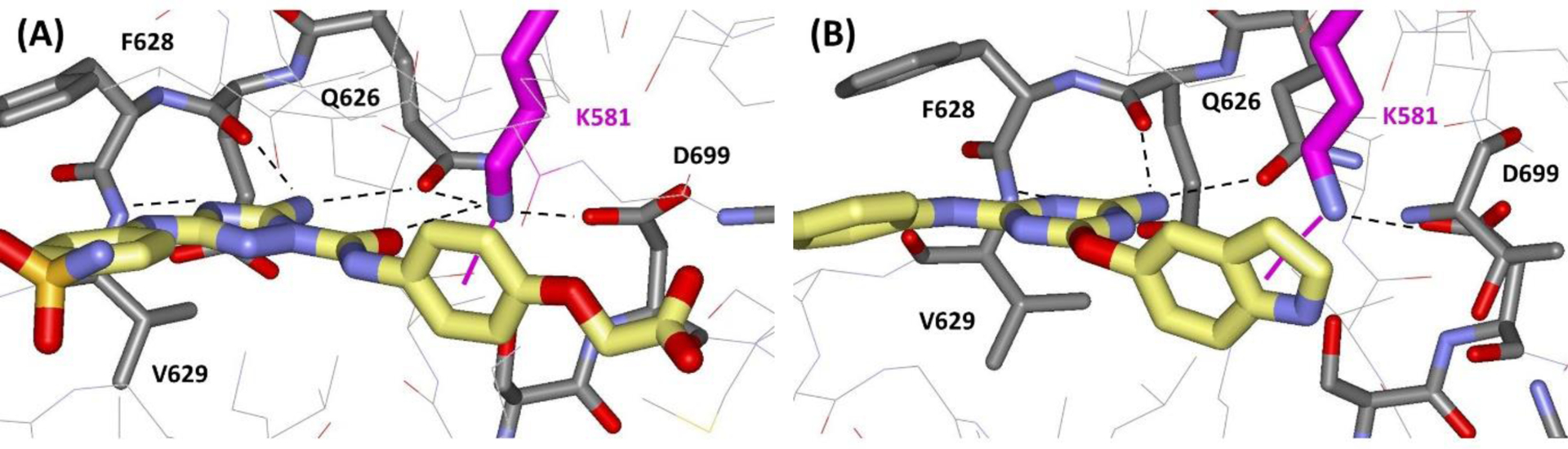 Figure 10.