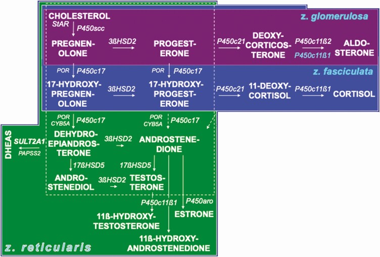 Figure 4.