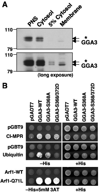 FIG. 8.