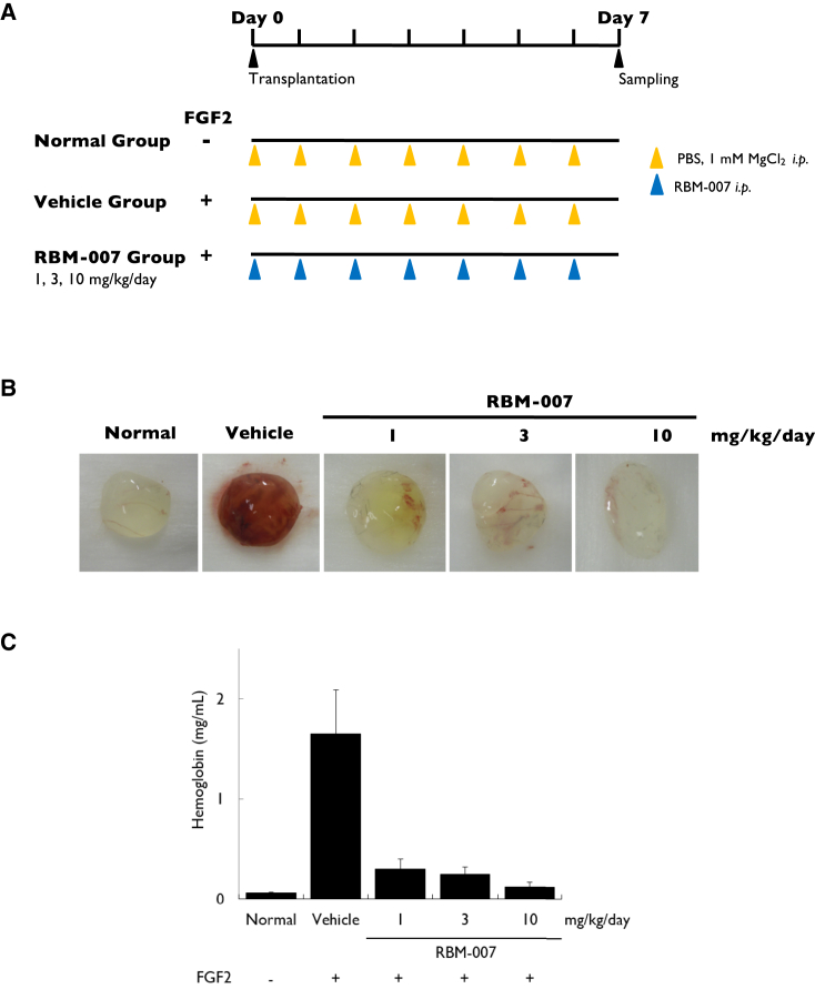 Figure 3