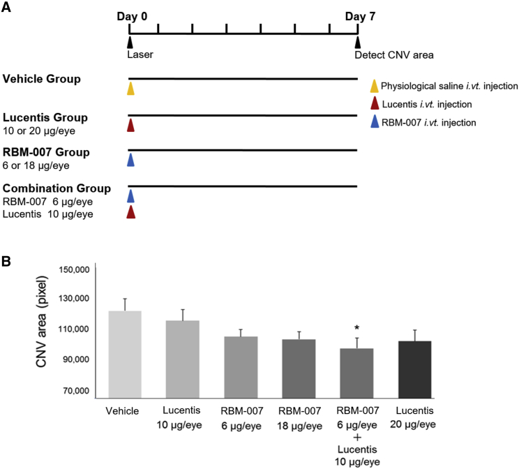 Figure 4