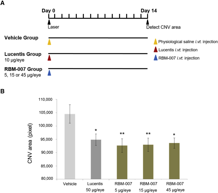 Figure 5