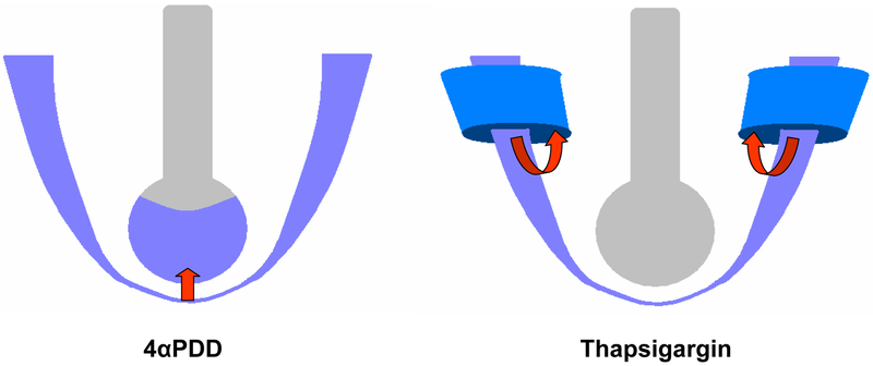 Fig 1.