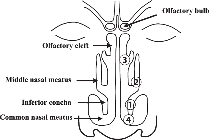 Fig.1