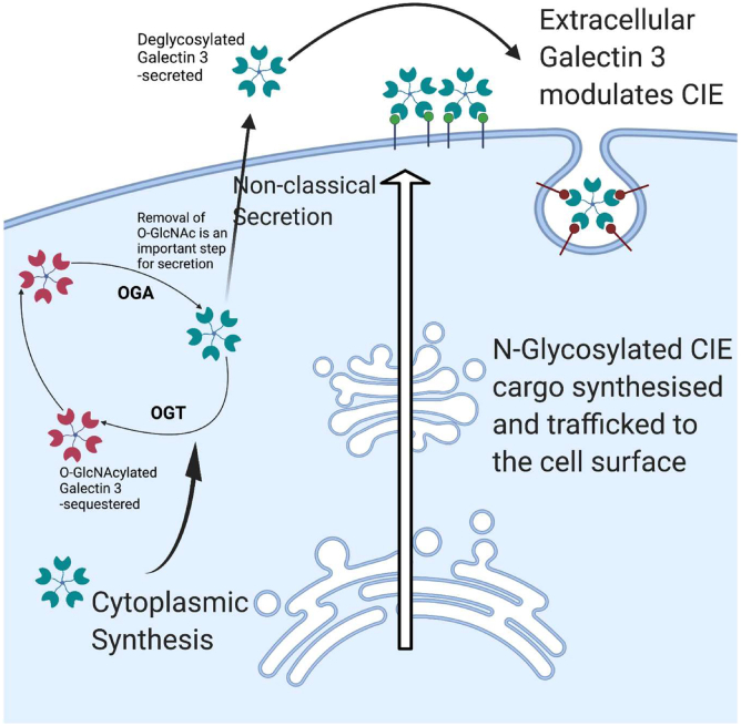 Figure 6