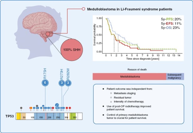Graphical Abstract